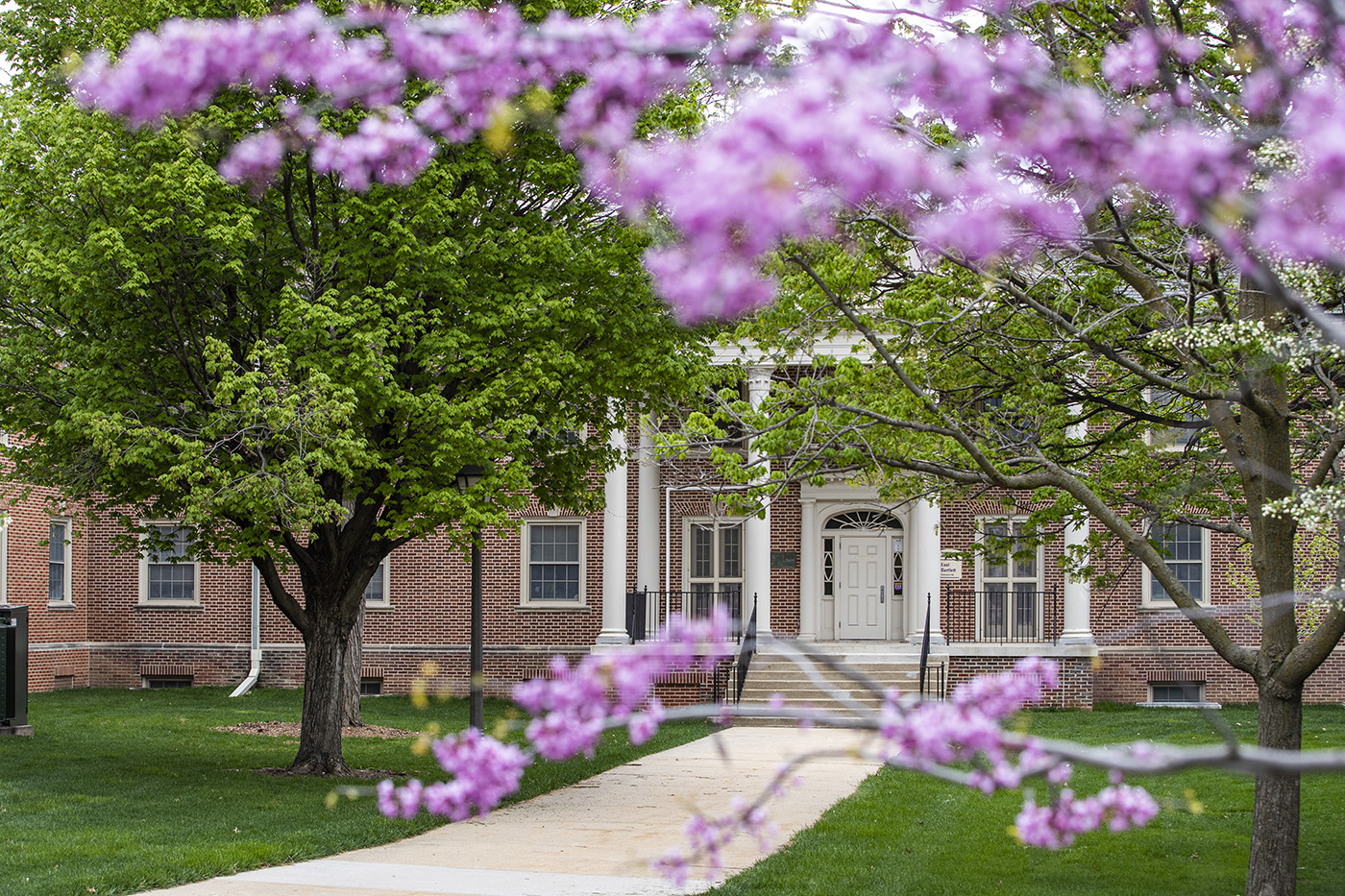 Exterior image of East Bartlett Hall through blooming trees