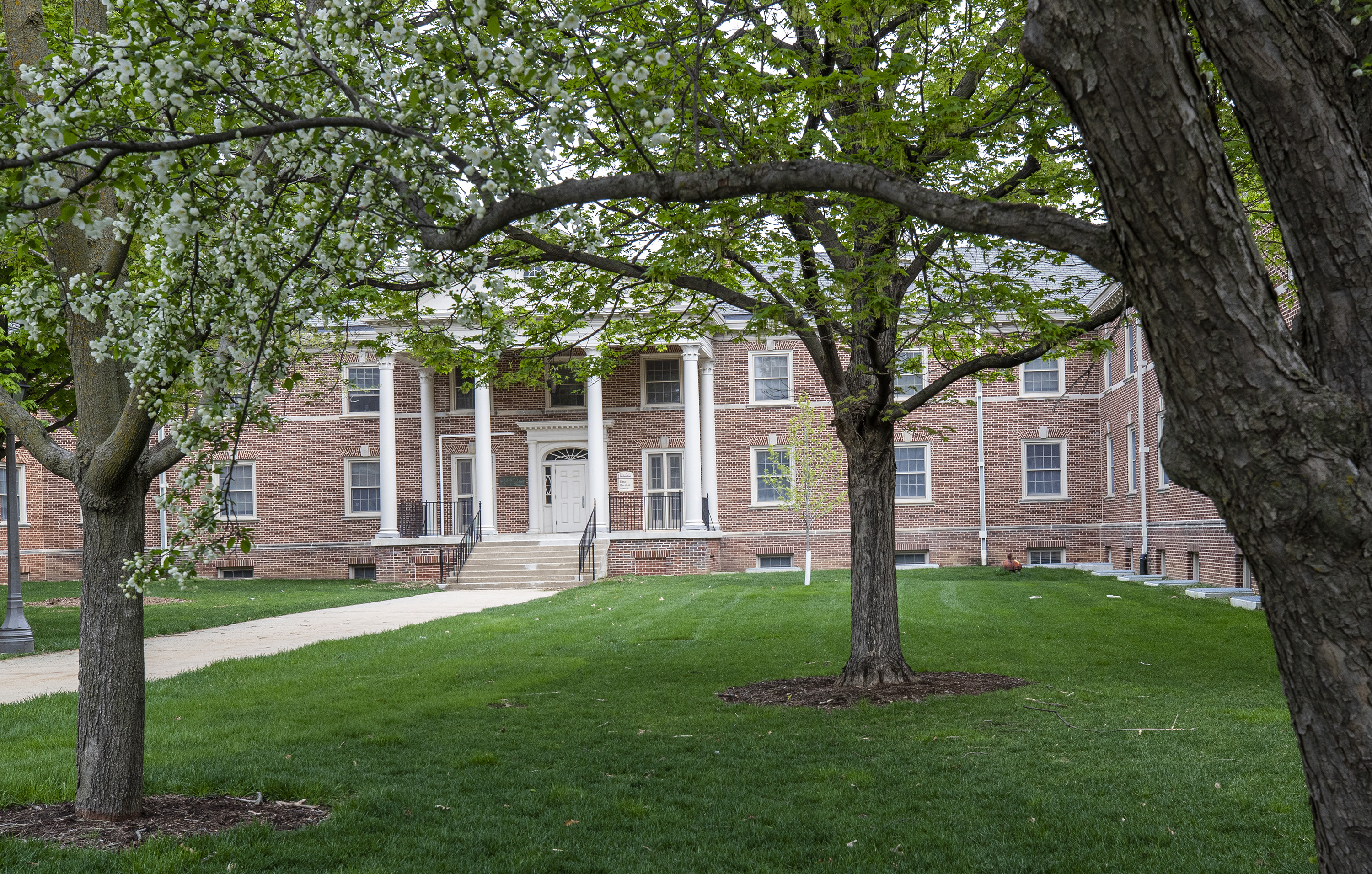 Exterior image of East Bartlett Hall through trees